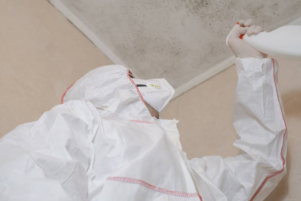Crawl Space Mold Removal in Blountsville, AL