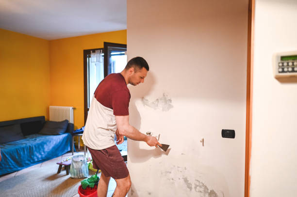 Best Certified Mold Removal  in Blountsville, AL